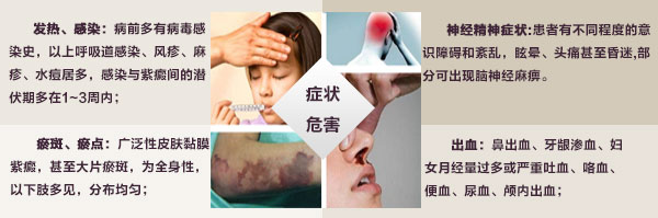 ITP症状危害.jpg